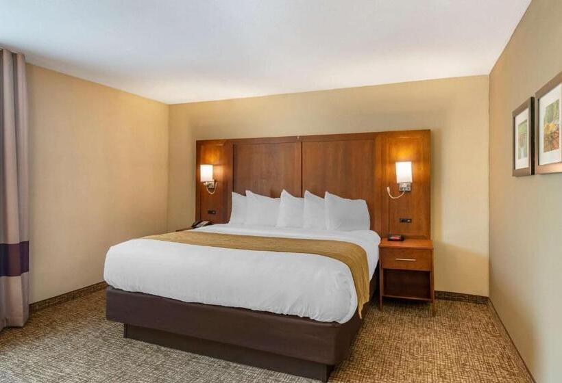 اتاق سوپریور, Comfort Inn Petersburg Near Fort Greggadams