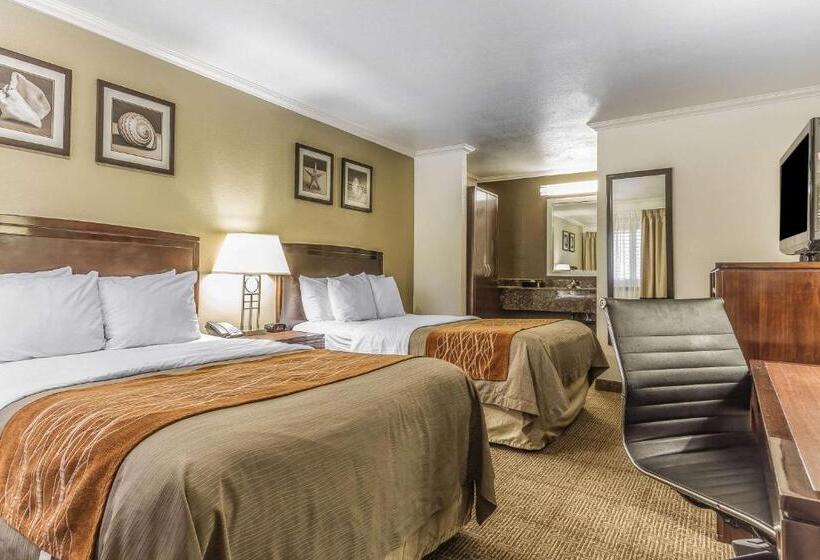 اتاق استاندارد با 2 تخت دوبل, Comfort Inn