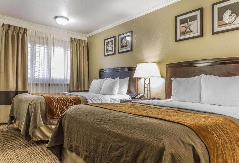 اتاق استاندارد با 2 تخت دوبل, Comfort Inn