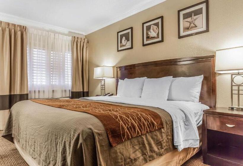 اتاق استاندارد با تخت بزرگ, Comfort Inn