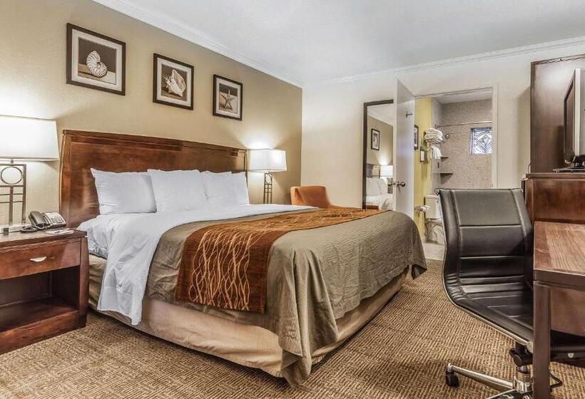 اتاق استاندارد با تخت بزرگ, Comfort Inn