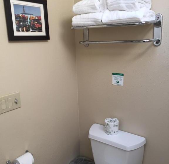 اتاق استاندارد با تخت بزرگ, Comfort Inn