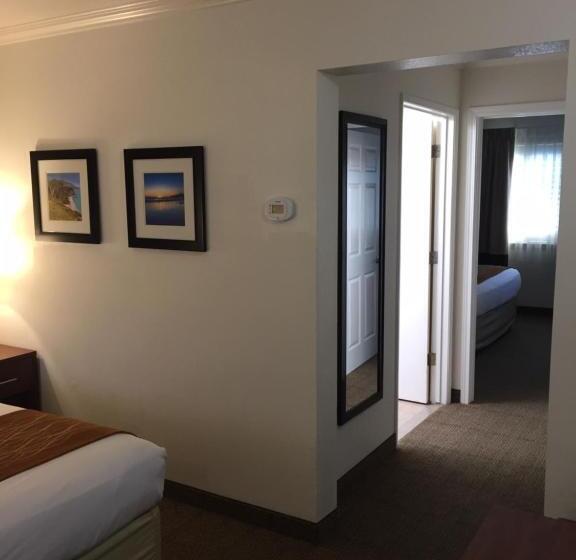 اتاق استاندارد چهار تخته, Comfort Inn