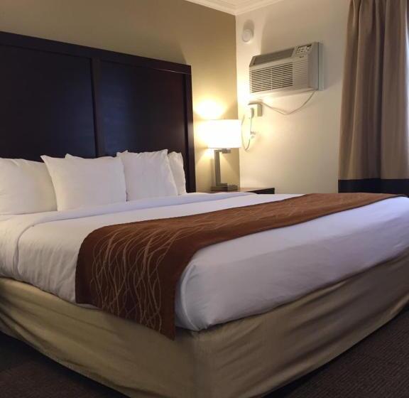 اتاق استاندارد چهار تخته, Comfort Inn