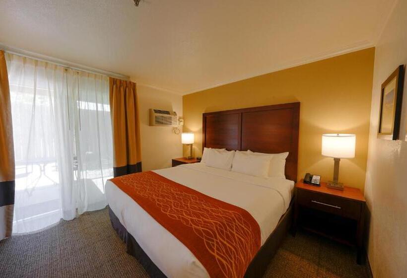 سوئیت با تخت بزرگ, Comfort Inn