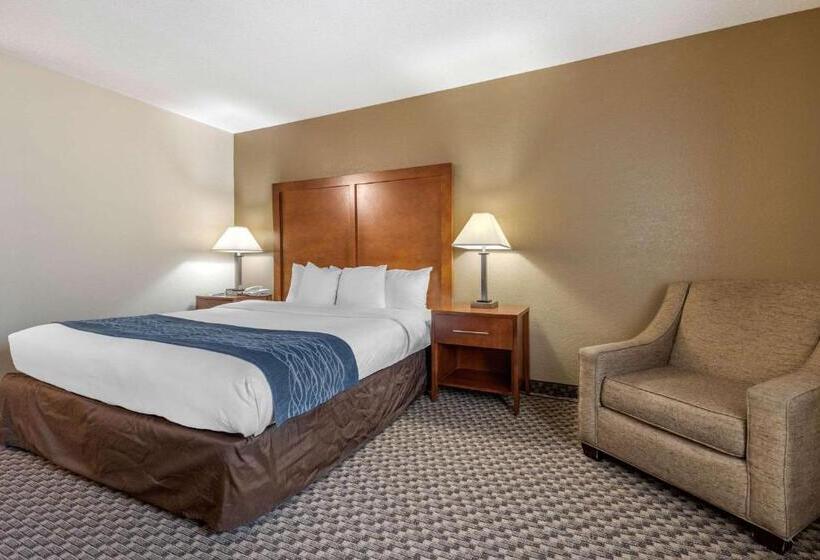 キングサイズベッドのスタンダードルーム, Comfort Inn South Indianapolis