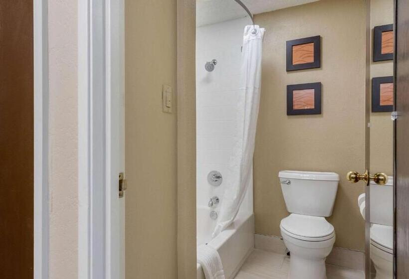 اتاق استاندارد با تخت بزرگ, Comfort Inn South