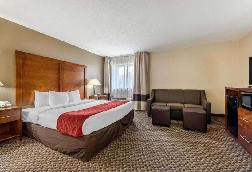 غرفة قياسية سرير كينج, Comfort Inn South Indianapolis