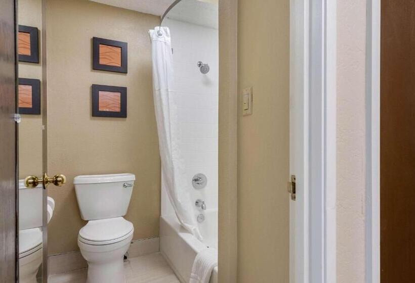 اتاق استاندارد, Comfort Inn South