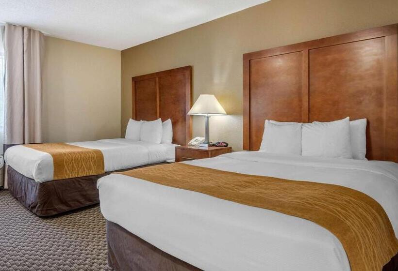 اتاق استاندارد, Comfort Inn South