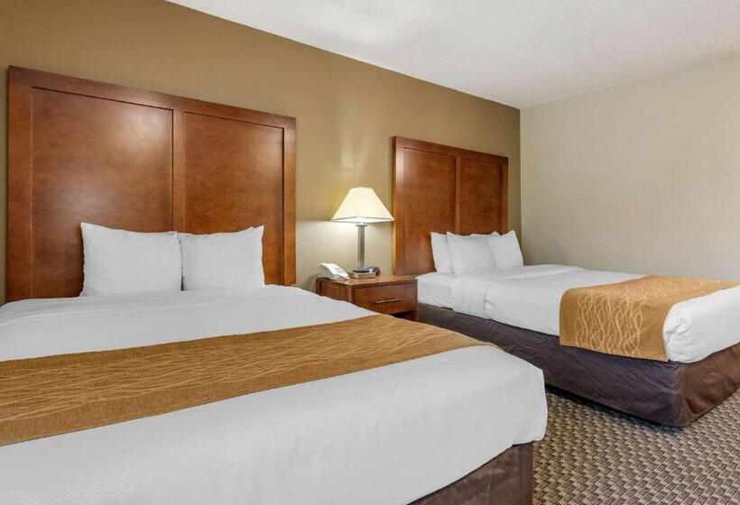 اتاق استاندارد, Comfort Inn South