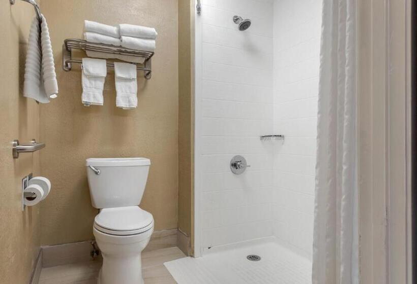 اتاق استاندارد با تخت بزرگ, Comfort Inn South