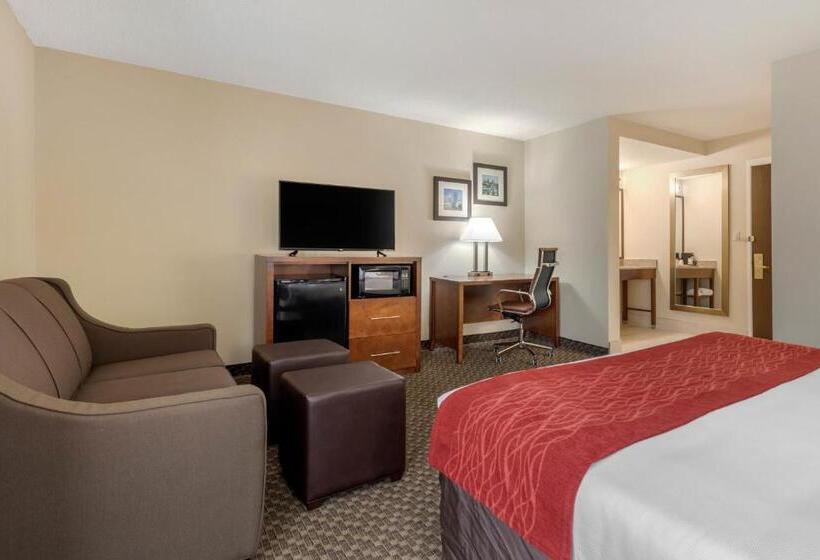 سوئیت با تخت بزرگ, Comfort Inn South
