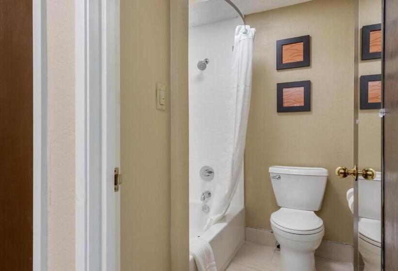 سوئیت با تخت بزرگ, Comfort Inn South