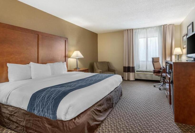 Quarto Estandar Cama King para Deficientes Físicos, Comfort Inn South Indianapolis