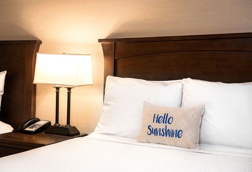 اتاق استاندارد برای معلولان, Days Inn By Wyndham San Diego Hotel Circle