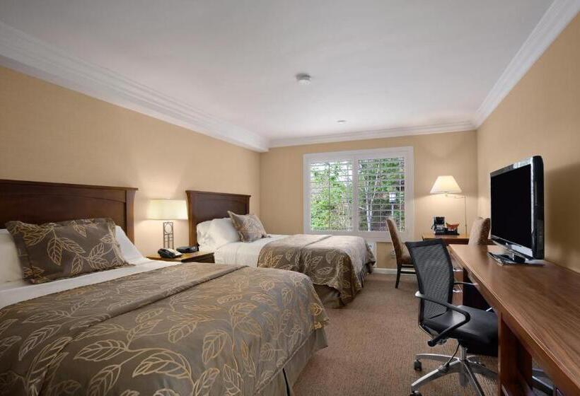 Standaardkamer met Kingsize Bed Aangepast voor Gehandicapten, Days Inn By Wyndham San Diego  Circle Near Seaworld