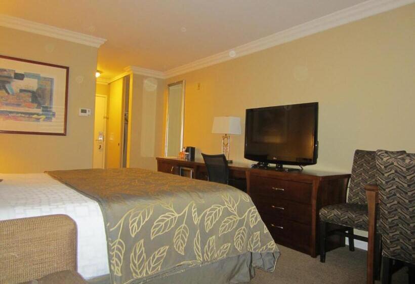 Standaardkamer met Kingsize Bed Aangepast voor Gehandicapten, Days Inn By Wyndham San Diego  Circle Near Seaworld