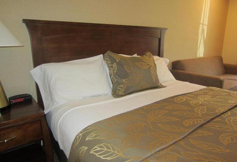 Standaardkamer met Kingsize Bed Aangepast voor Gehandicapten, Days Inn By Wyndham San Diego  Circle Near Seaworld