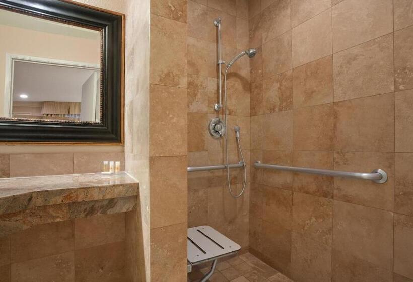 اتاق استاندارد برای معلولان, Days Inn By Wyndham San Diego Hotel Circle