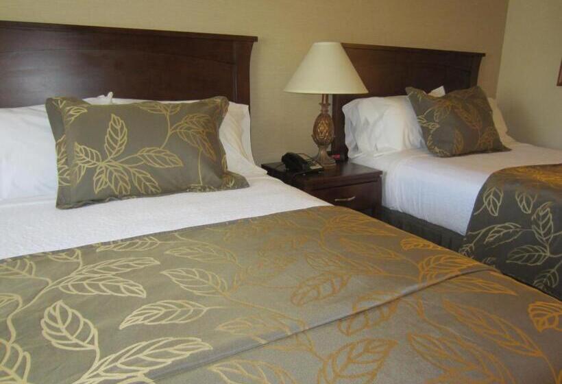 اتاق استاندارد برای معلولان, Days Inn By Wyndham San Diego Hotel Circle