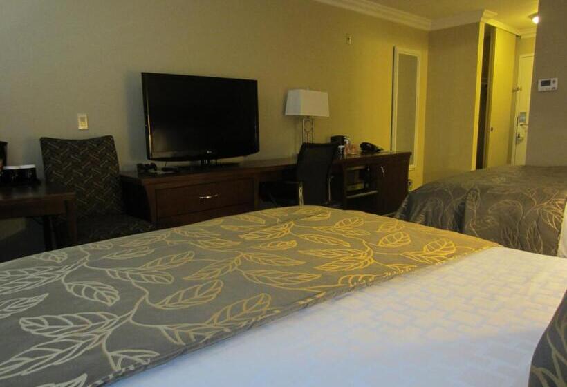 اتاق استاندارد, Days Inn By Wyndham San Diego Hotel Circle