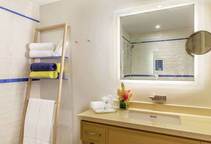 اتاق استاندارد با تخت بزرگ, Hilton College Station & Conference Center