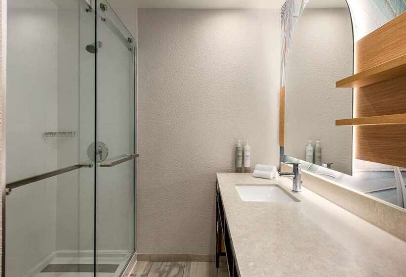 سوئیت با تخت بزرگ, Hilton College Station & Conference Center