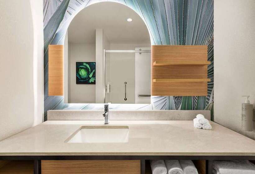 سوئیت با تخت بزرگ, Hilton College Station & Conference Center