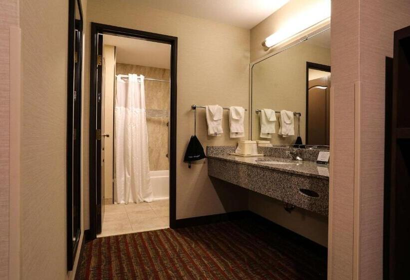 اتاق استاندارد, Quality Inn Near Rocky Mountain National Park