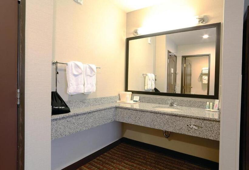 Camera Superiore Accessibile ai persone con mobilità ridotta, Quality Inn Near Rocky Mountain National Park