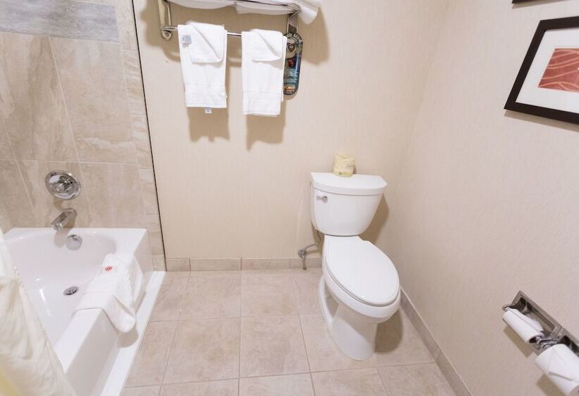اتاق استاندارد با 2 تخت دوبل, Quality Inn Near Rocky Mountain National Park