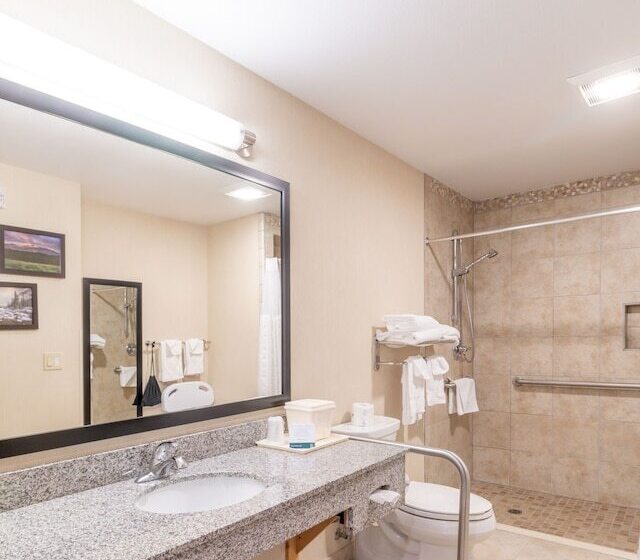 اتاق استاندارد برای معلولان, Quality Inn Near Rocky Mountain National Park
