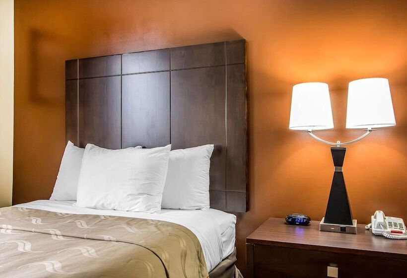 اتاق استاندارد با 2 تخت دوبل, Quality Inn O'Hare Airport