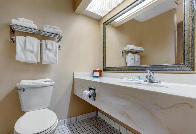 اتاق استاندارد با تخت بزرگ, Quality Inn St Cloud West
