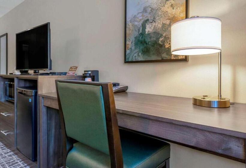 اتاق استاندارد با تخت بزرگ, Quality Inn St Cloud West