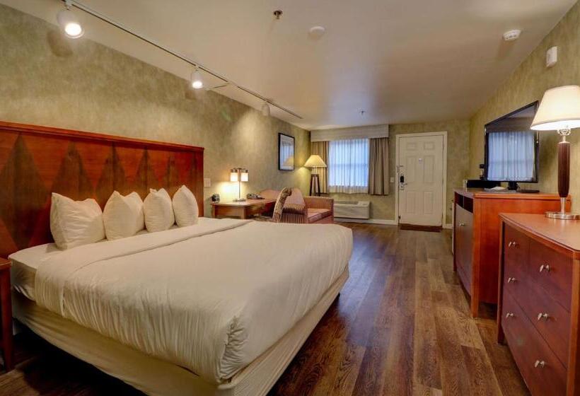 اتاق لوکس با تخت بزرگ, Senator Inn & Spa