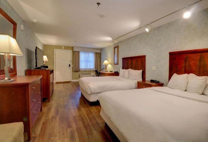 اتاق لوکس, Senator Inn & Spa
