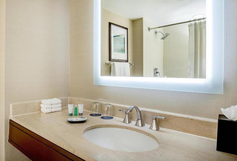 带大床的经典房间, The Westin Waltham Boston