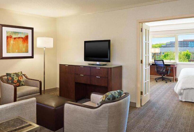 带大床的小型套房, The Westin Waltham Boston