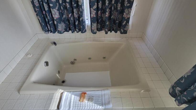 Standardrum med Jacuzzi, Thunderbird Inn Of Mackinaw City