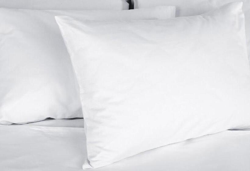 اتاق استاندارد با تخت بزرگ, Weatherford Heritage Inn