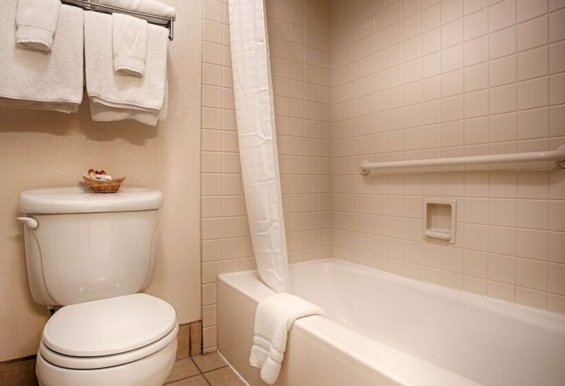 اتاق استاندارد با تخت دوبل, Best Western Sandman