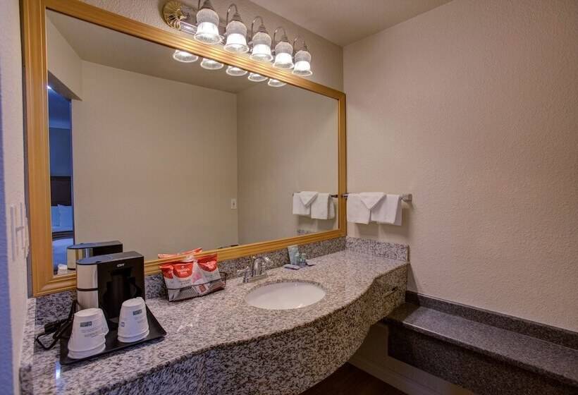 اتاق استاندارد با تخت دوبل, Best Western Sandman