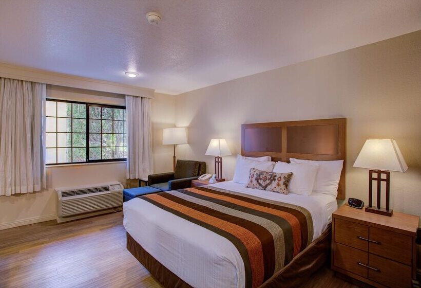 اتاق استاندارد با تخت دوبل, Best Western Sandman