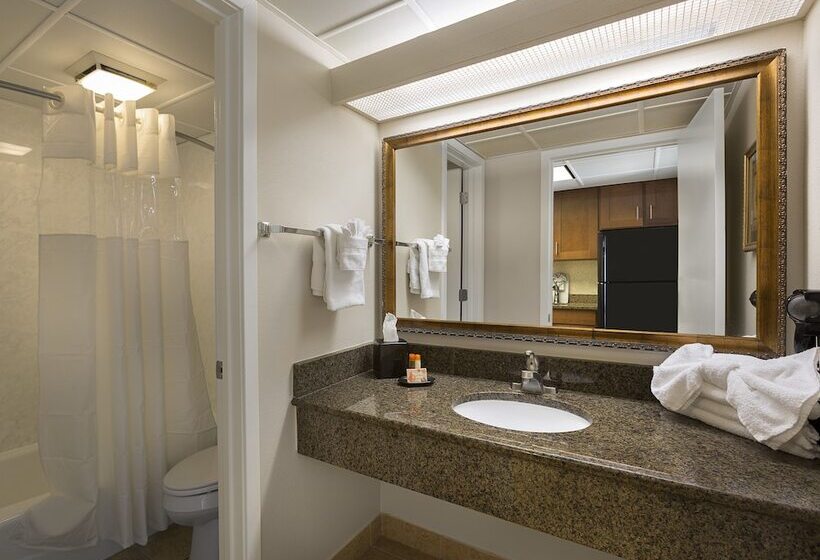 سوییت با چشم‌انداز دریا, Coral Beach Resort