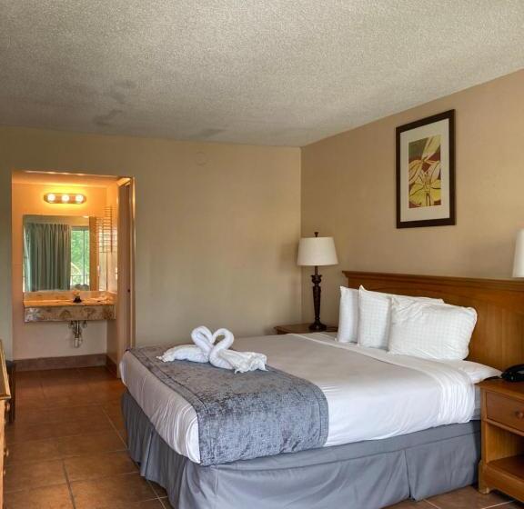 اتاق لوکس با چشم‌انداز استخر, Altamonte Springs Hotel And Suites