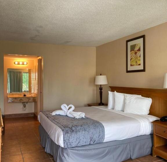 Camera Standard Letto King, Altamonte Springs  And Suites