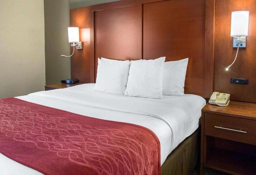 Suite Adapted for people with reduced mobility, Comfort Inn & Suites San Francisco Airport North