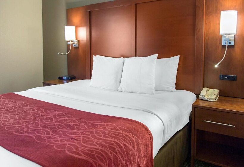 جناح لذوى الاحتياجات الخاصة, Comfort Inn & Suites San Francisco Airport North